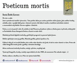 Dundee - info plakát na výstavu - Poeticum mortis pro web